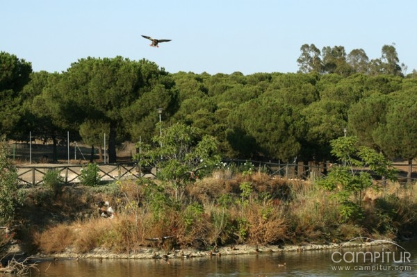 Parque y Reserva Las Quinientas