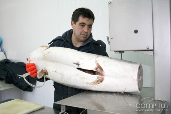 Pescados y Mariscos Leomar