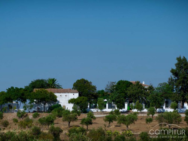 Cortijo Las Veguillas 