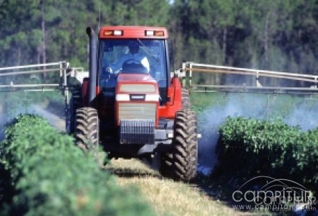 Tres de los ocho cursos organizados por Agricultura se impartirán en la Campiña Sur 