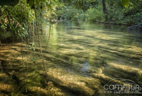 Actividad de voluntariado medioambiental para la limpieza del la Ribera en San Nicolás del Puerto 